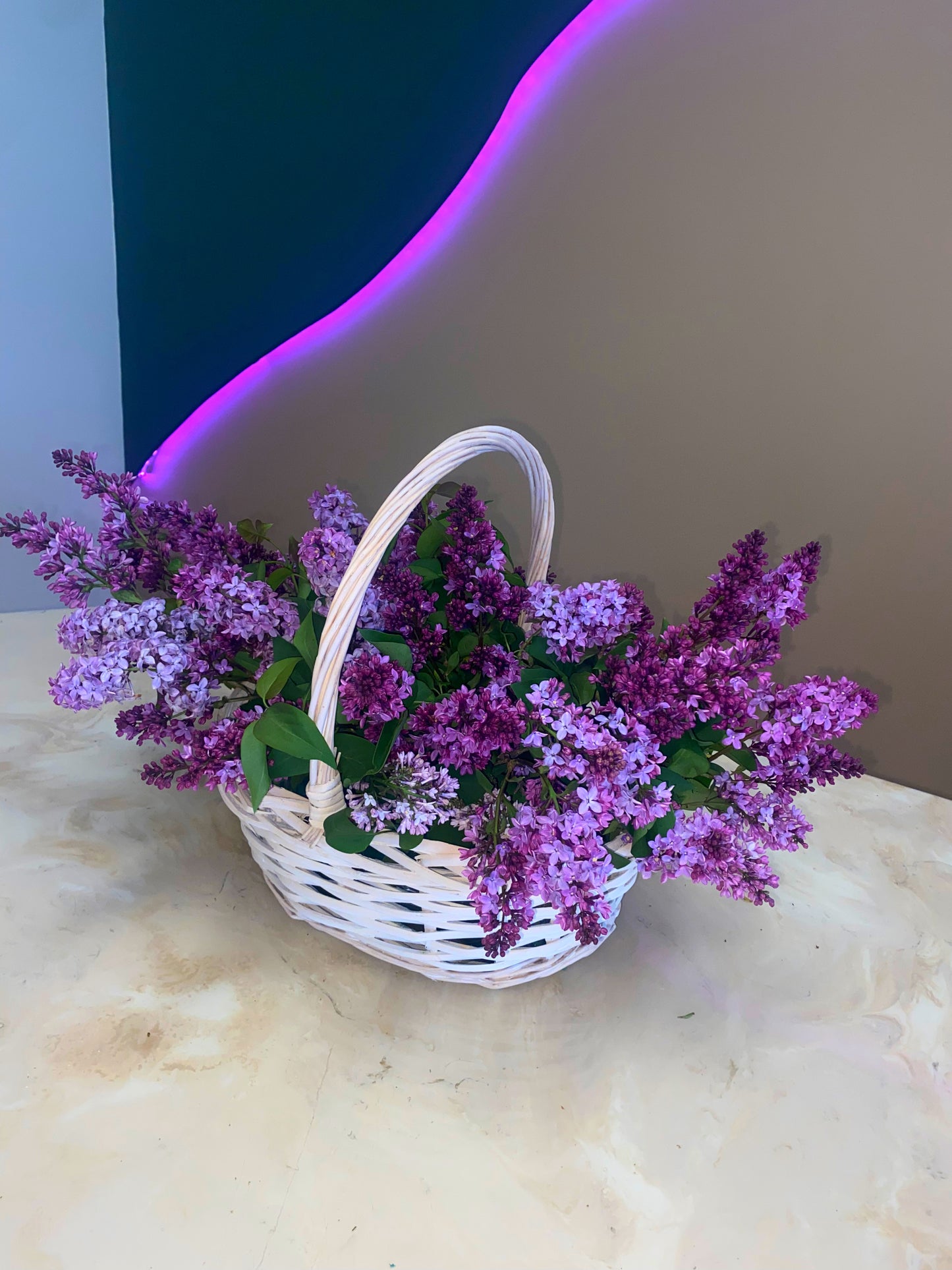 NO.89 Purple Basket